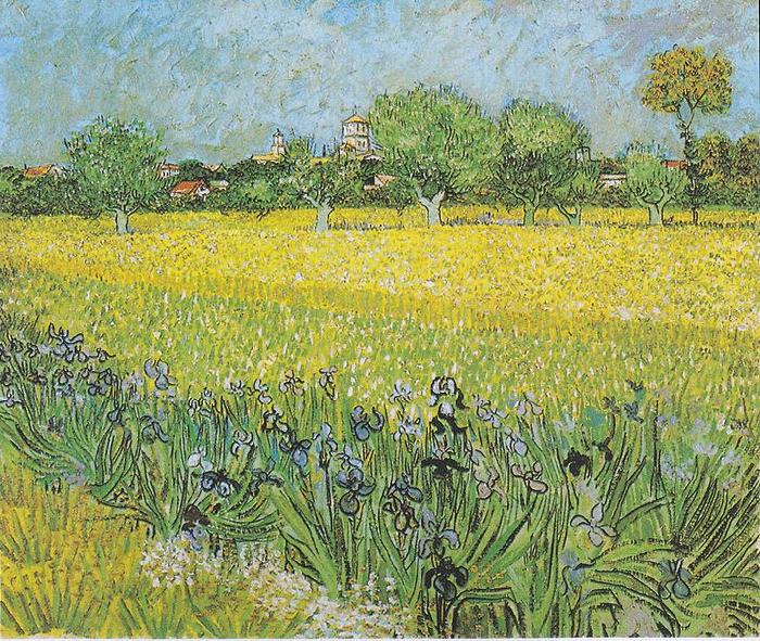Vincent Van Gogh View of Arles with irises in the foreground oil painting picture